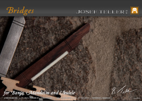 Josef Teller OHG, Icon Datasheet Bridges